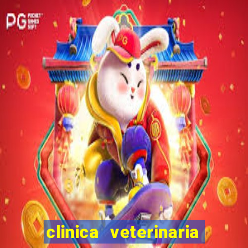 clinica veterinaria cuidar betim